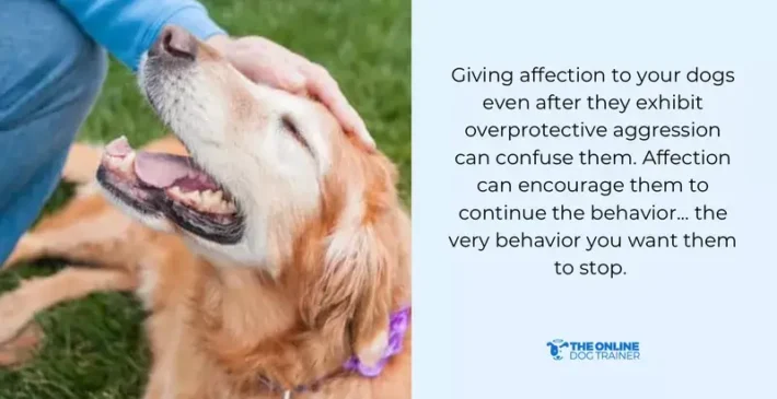 giving positive reinforcement to protective dogs