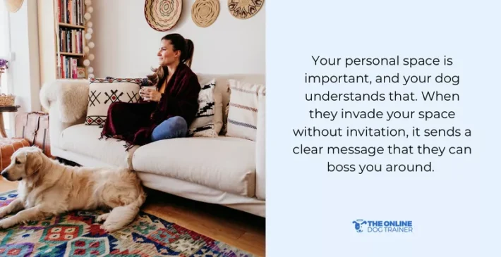 how to train bossy dogs