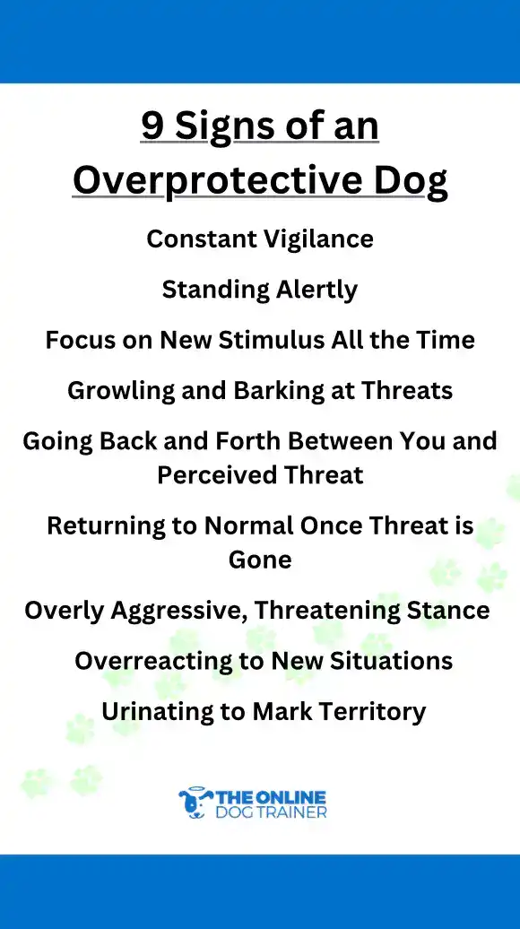signs of an overprotective dog