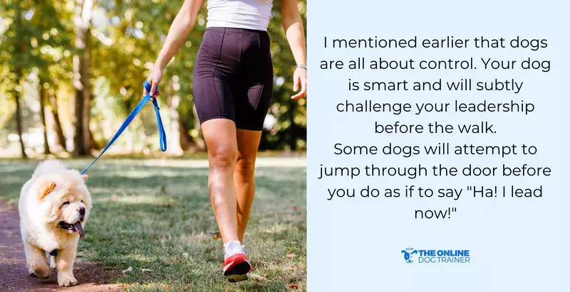 loose leash walking with lead attached