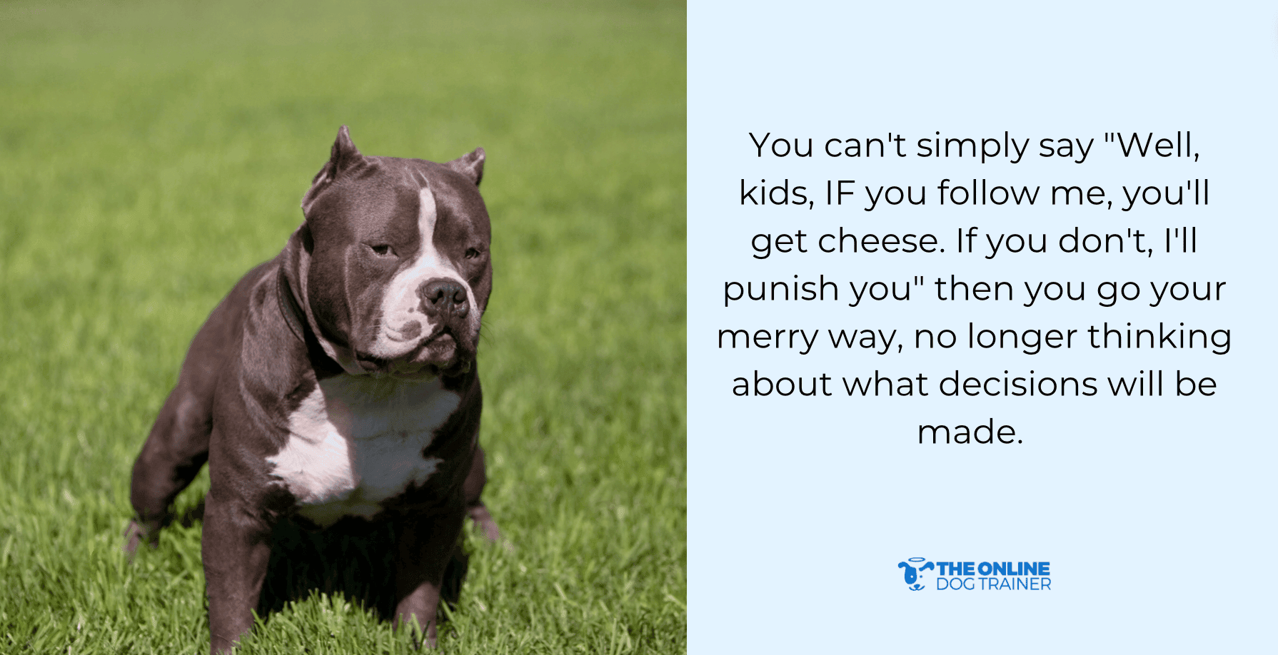 pack leadership alpha