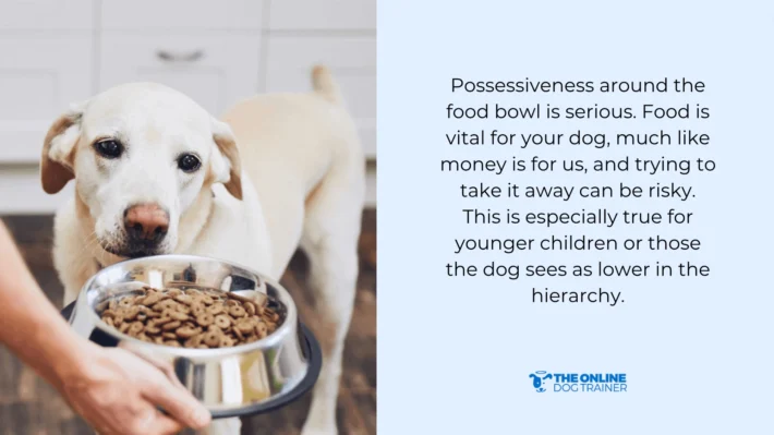 possessive dog growling