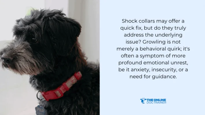 problem for dog growling