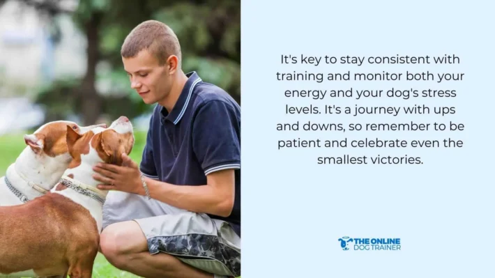 how to improve dog behavioural issues