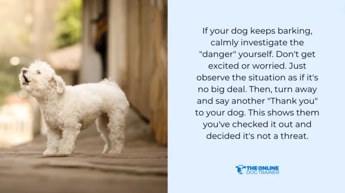 alternative behavior dog barking