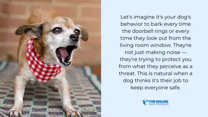 how to make dogs stop barking