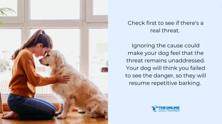 how to stop dog barking behavior