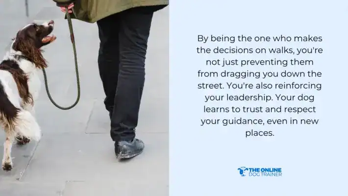 how to train a dog to stop barking