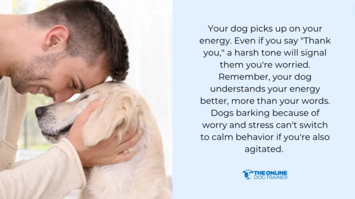 training sessions stop barking dogs