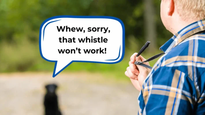 Best dog whistle to stop barking