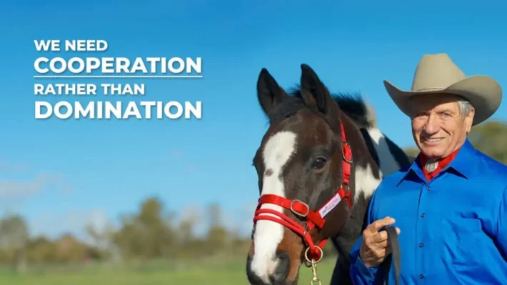 dog training doggy dan