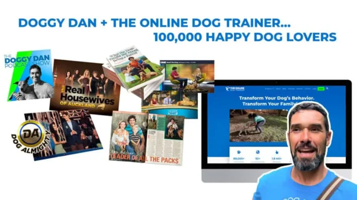 reviews for Doggy Dan dog trainer