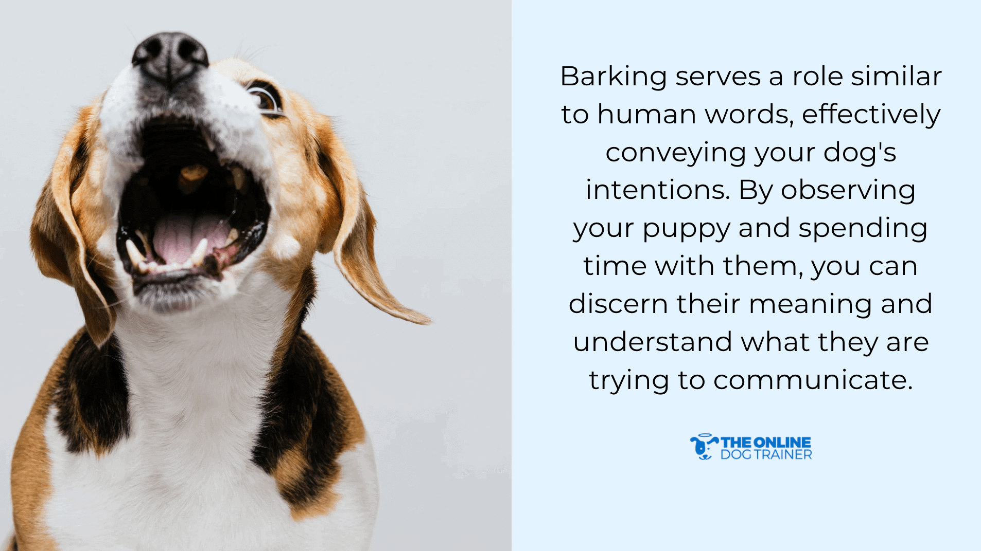 different types of puppy barking
