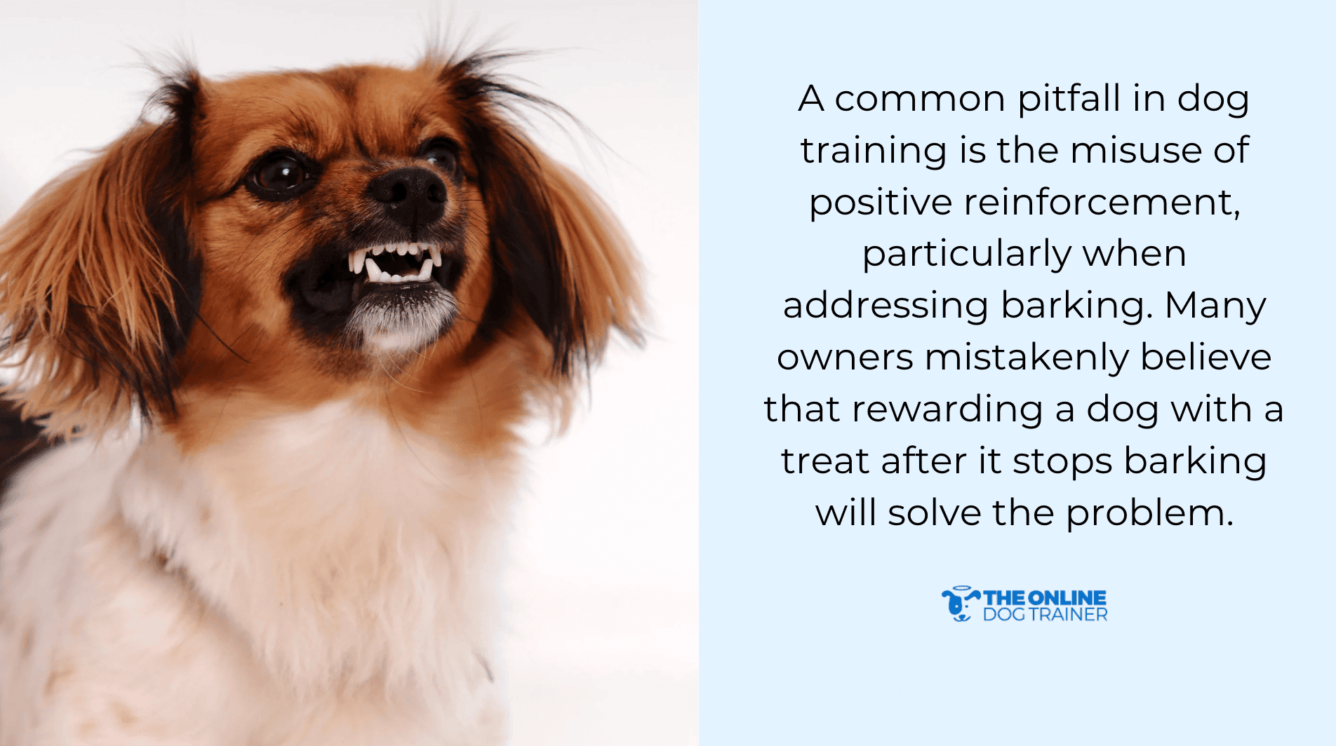 positive reinforcement dog barking