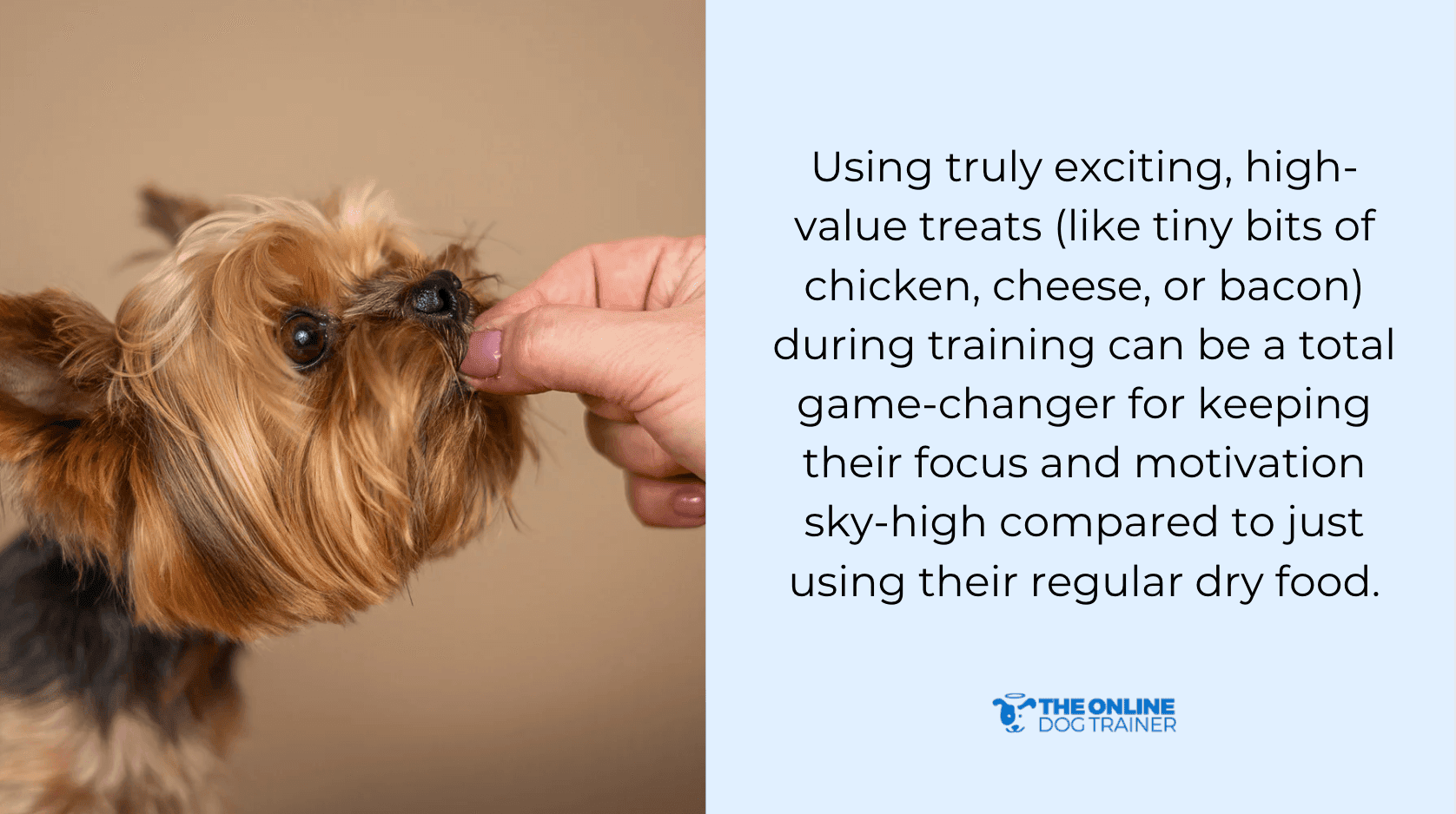 puppy treats positive association