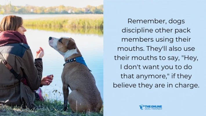 dog nipping vs biting