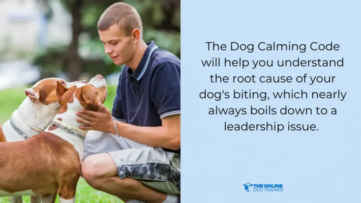doggy dan dog calming code