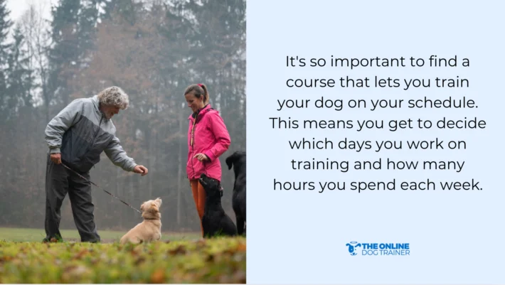 training dogs from home