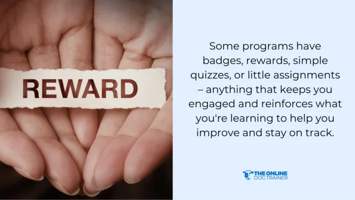 best programs for dog aggression