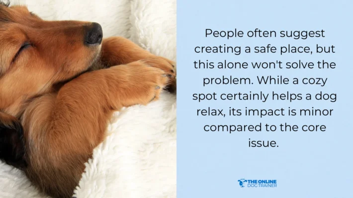 crate training safe space dogs