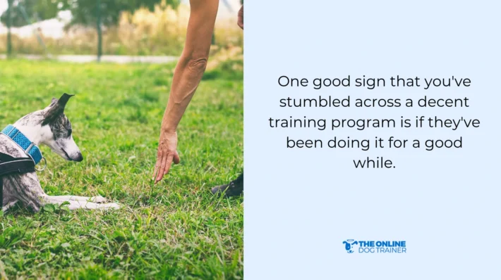 dog training for basic commands