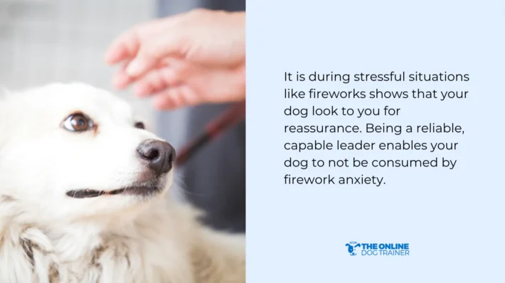 firework anxiety in dogs