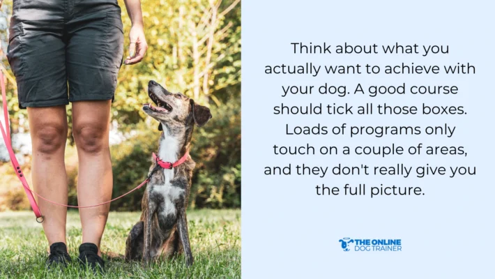 understanding dog behavior for dog training