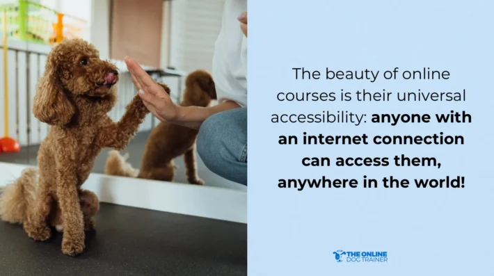 benefits of online dog training programs