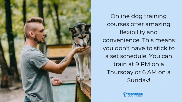 online dog training benefits 