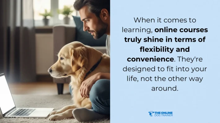 reactive dog online training