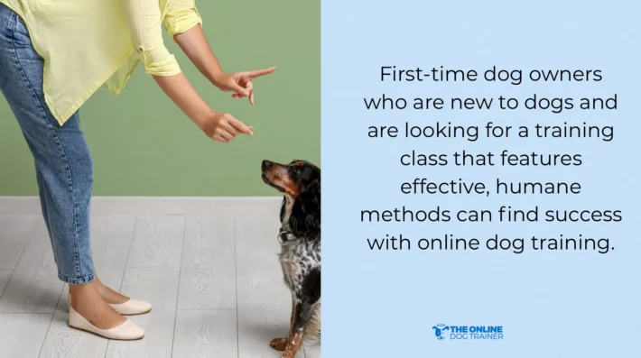 using online programs to train dogs