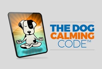 DCC_Shoppage_optimized