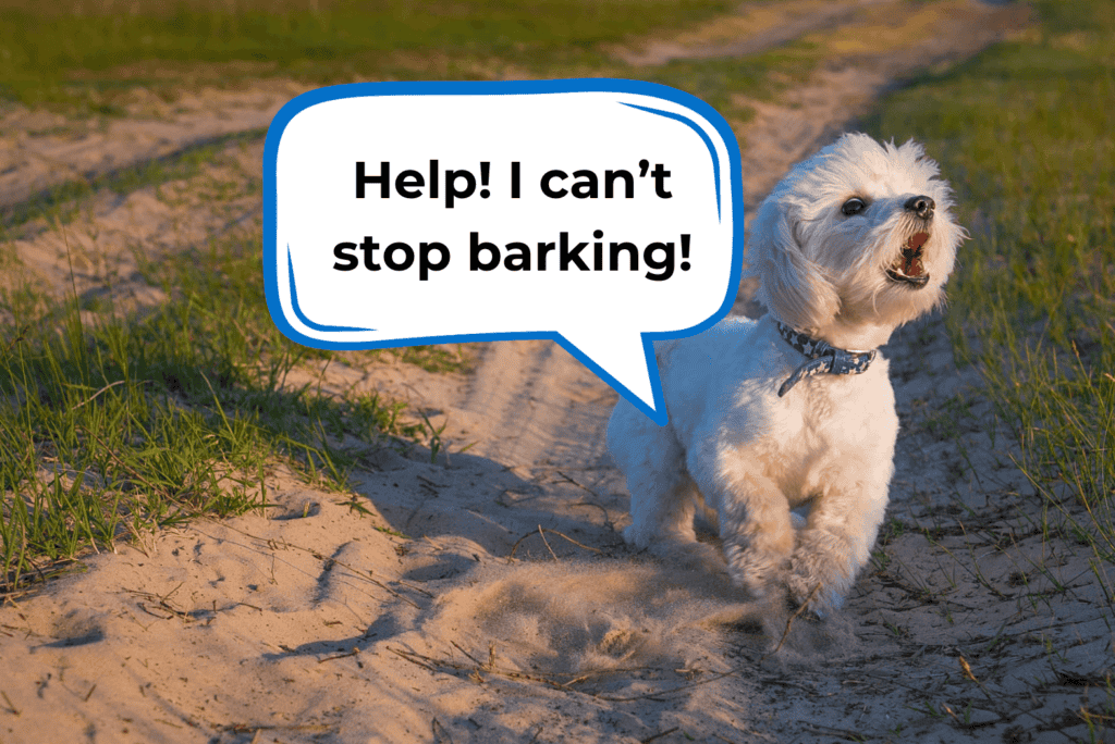 how to stop a puppy from excessive barking